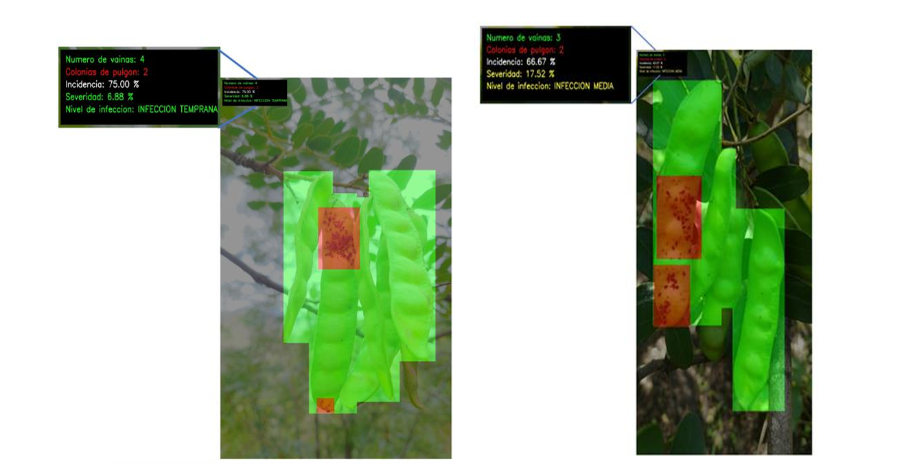 Modelo de deteccion de plagas agricolas con inteligencia artificial